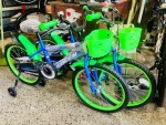 BICICLETA GREEN 20 VARON