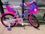 BICICLETA NIÑA FULL R20